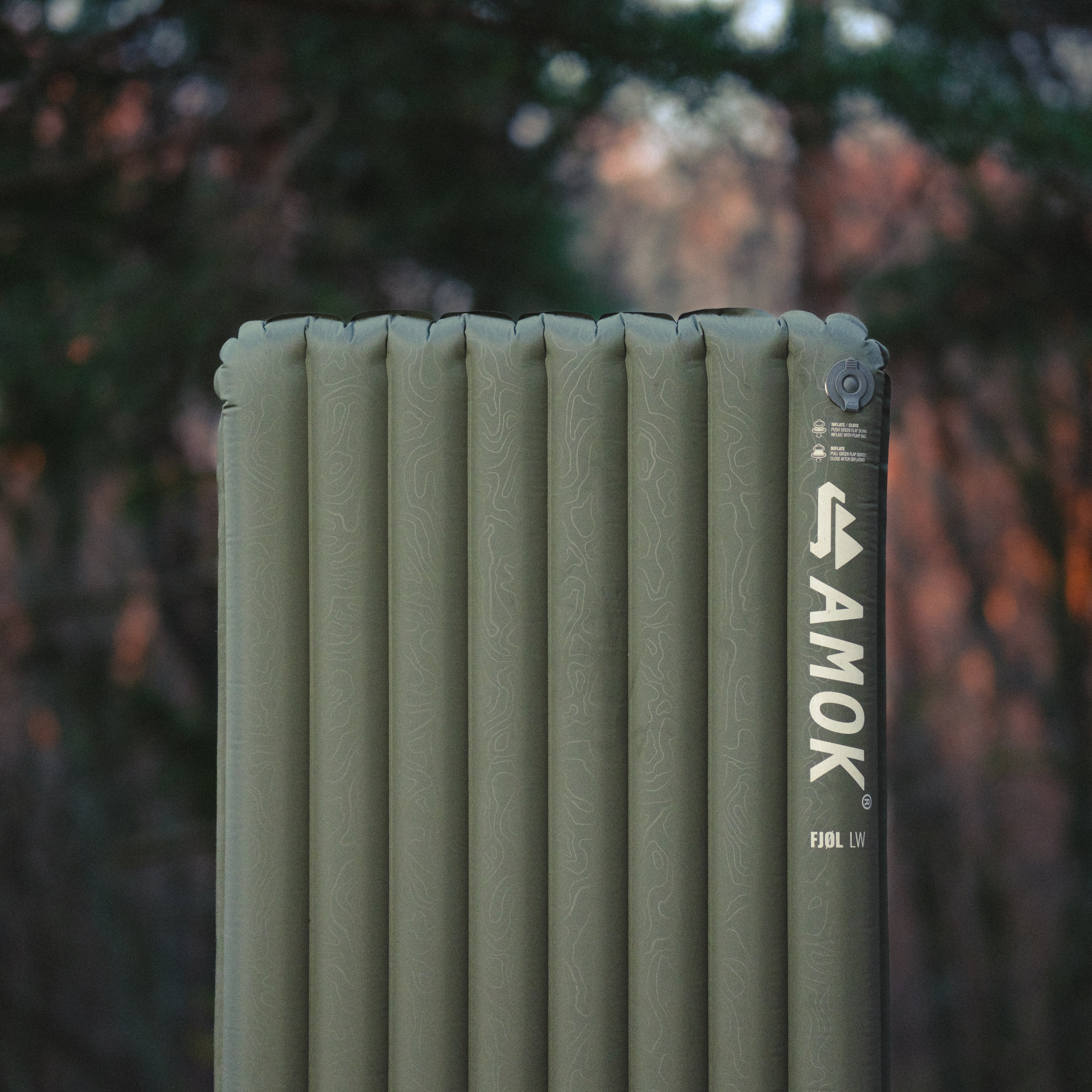 Fjøl / LW