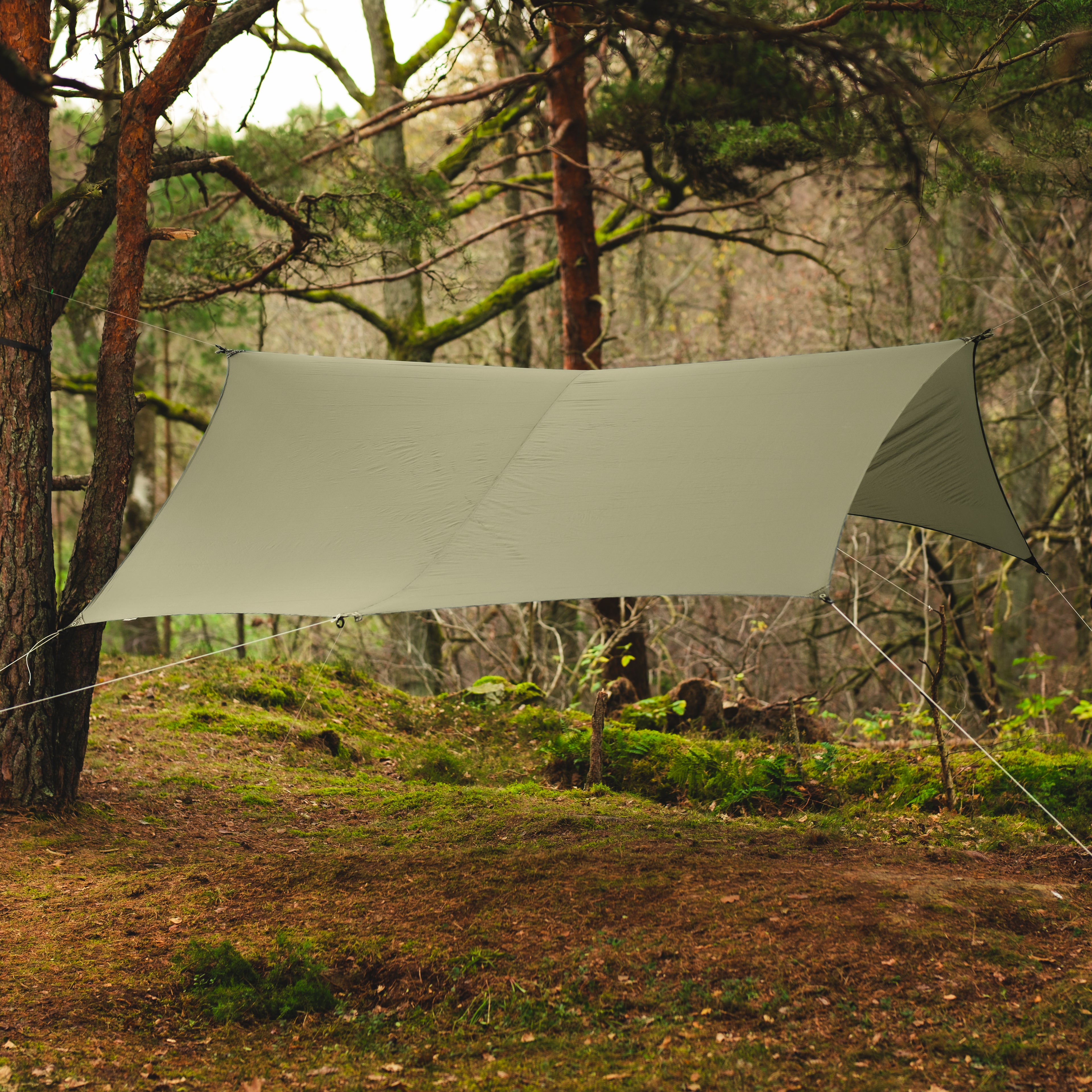 Skjold 10 / Dark green