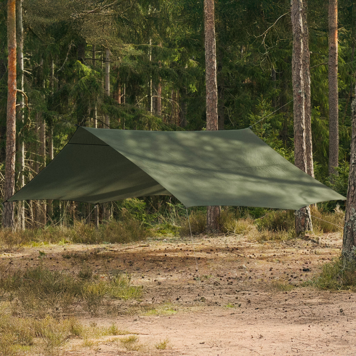 Skjold 13 / Dark green